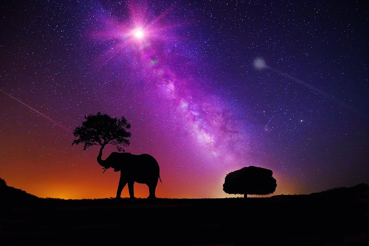星辰变动画最新集，探索宇宙奥秘与魅力的视觉盛宴