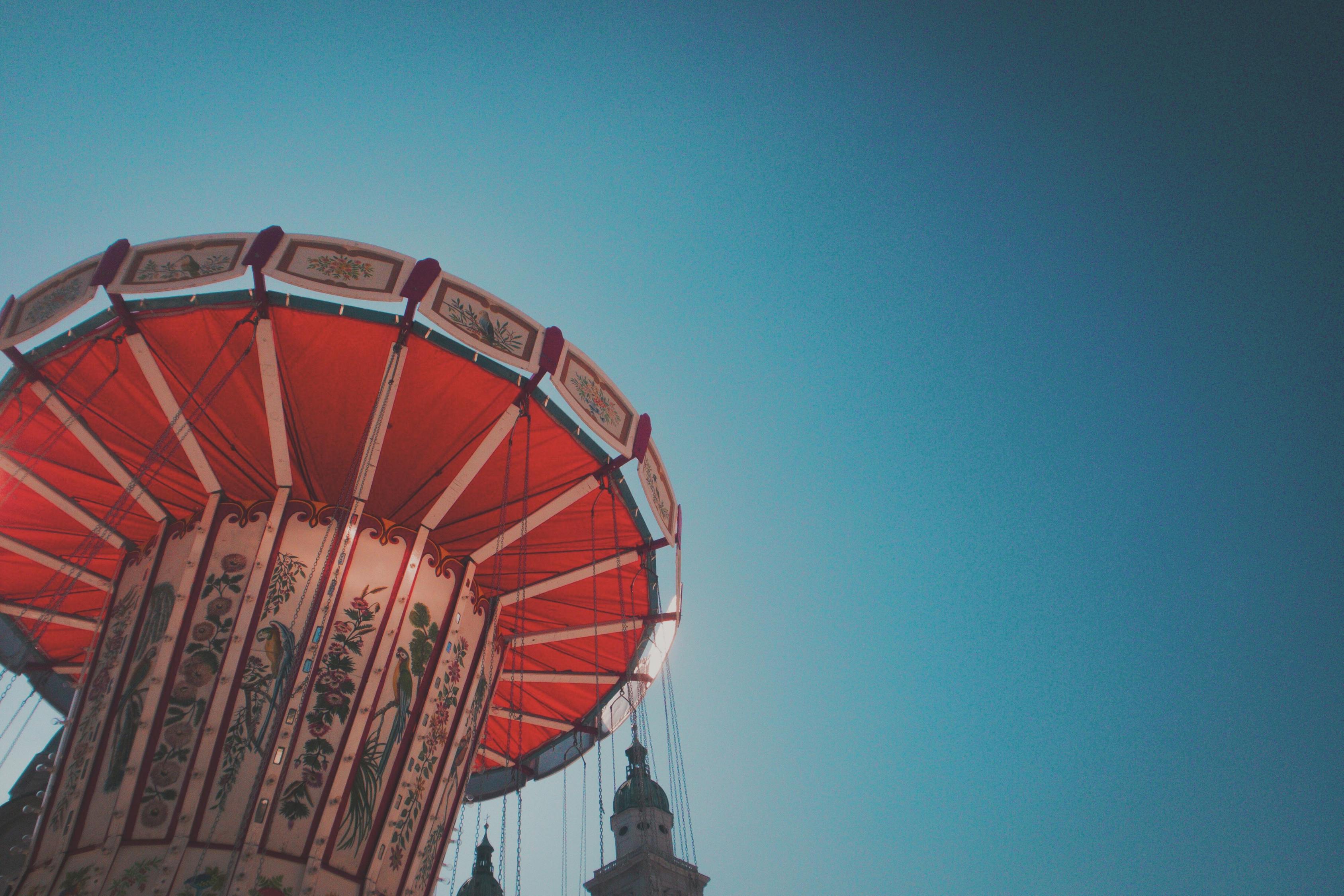 菜饼价格最新动态及分析简报