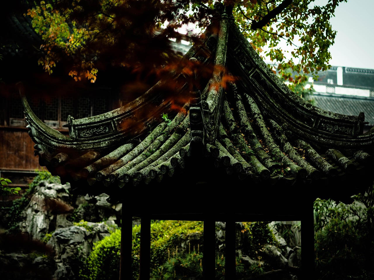 五月中国国通快递最新动态及进展报告